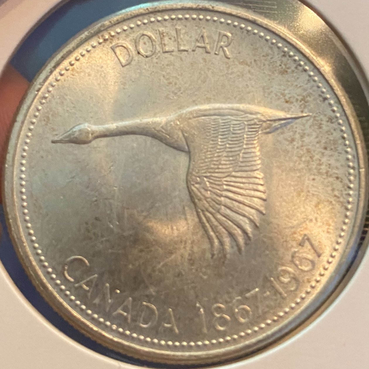 1967-Canadian-Silver-Dollar